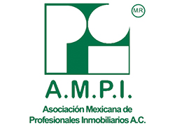Networking With Our AMPI Colleagues in Mexico