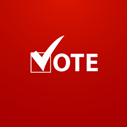 Have You Voted Yet in the City of Houston Runoff Elections?