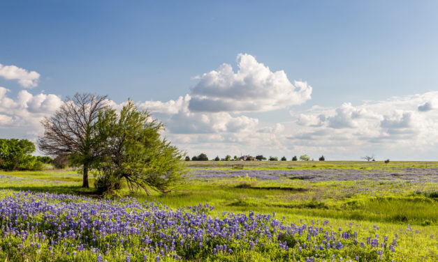 Owning Your Piece of Texas: Key Rural Land Laws